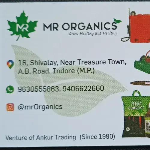 store logo
